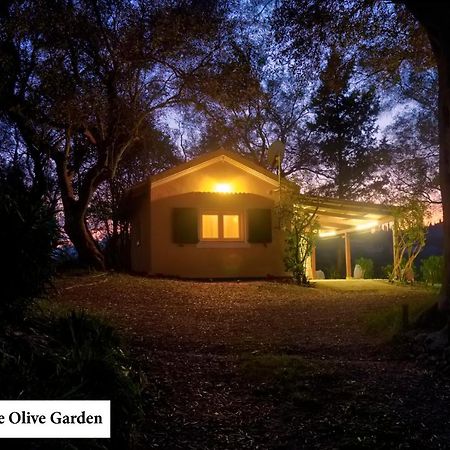 Ágios IoánnisHouse In The Olive Garden公寓 外观 照片