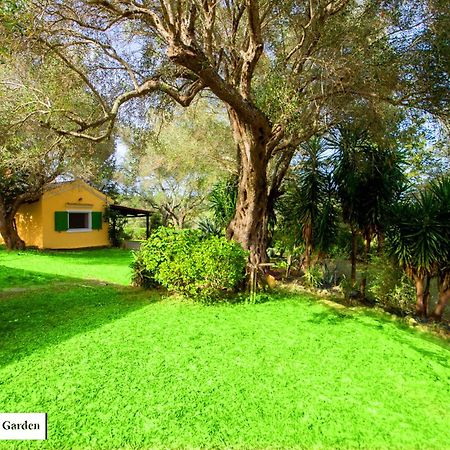 Ágios IoánnisHouse In The Olive Garden公寓 外观 照片