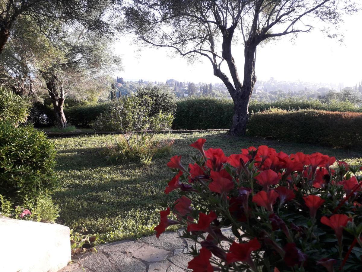 Ágios IoánnisHouse In The Olive Garden公寓 外观 照片