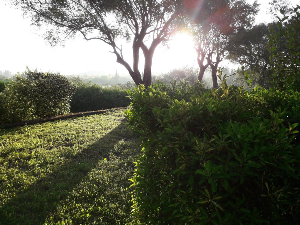 Ágios IoánnisHouse In The Olive Garden公寓 外观 照片