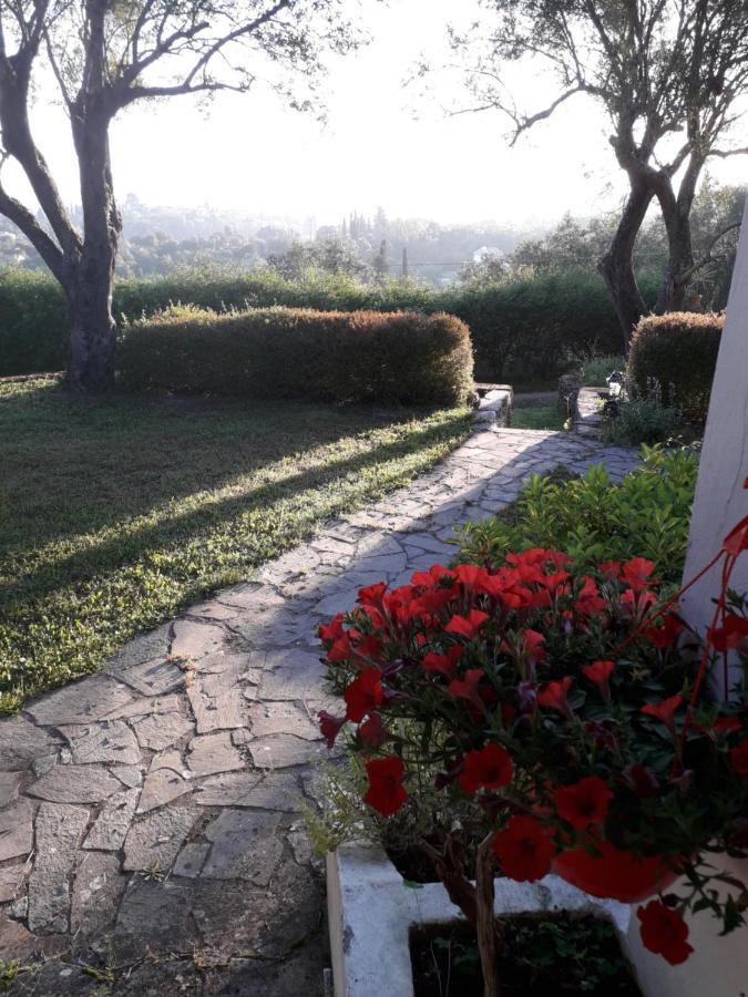 Ágios IoánnisHouse In The Olive Garden公寓 外观 照片
