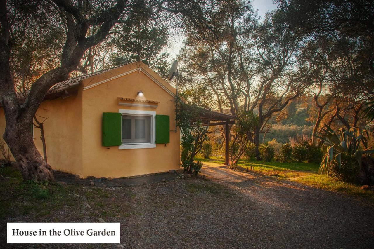Ágios IoánnisHouse In The Olive Garden公寓 外观 照片