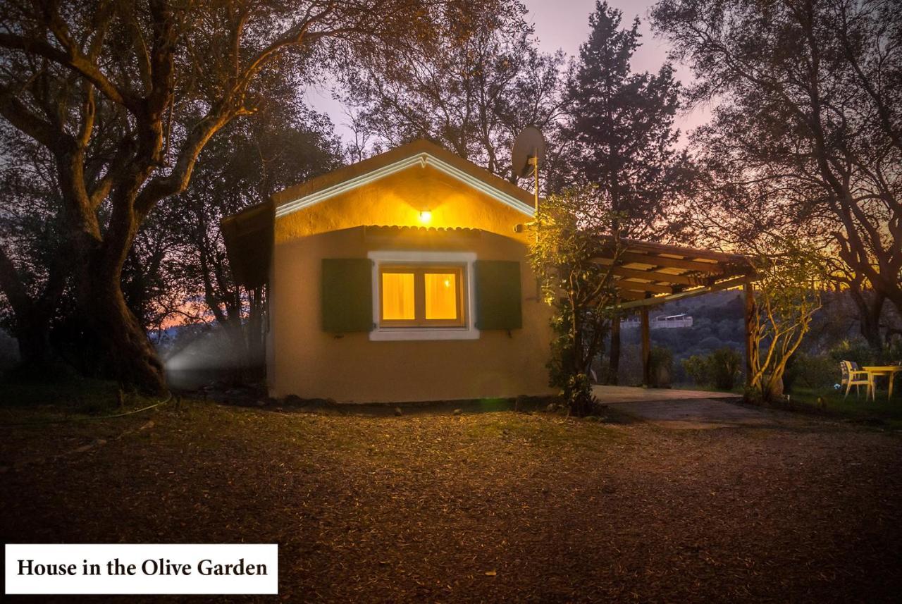 Ágios IoánnisHouse In The Olive Garden公寓 外观 照片