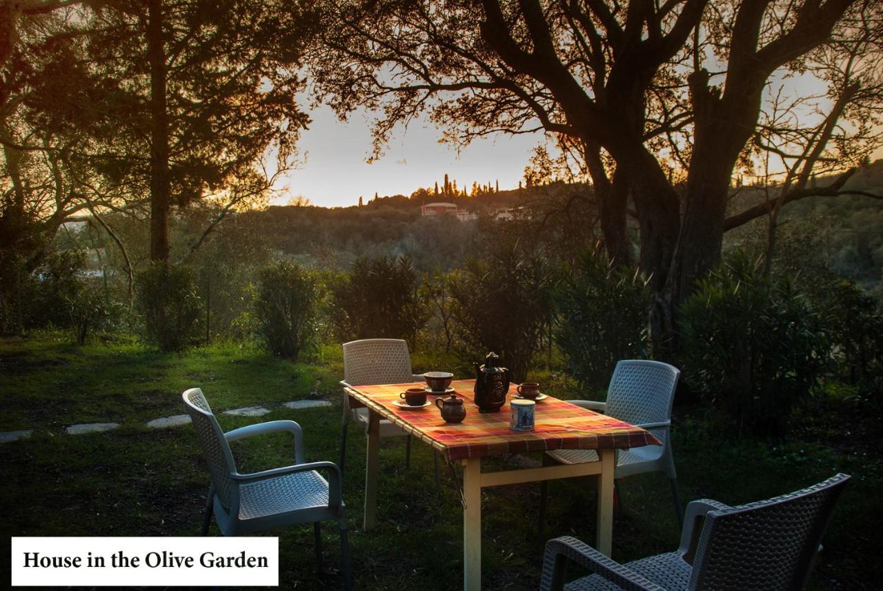 Ágios IoánnisHouse In The Olive Garden公寓 外观 照片
