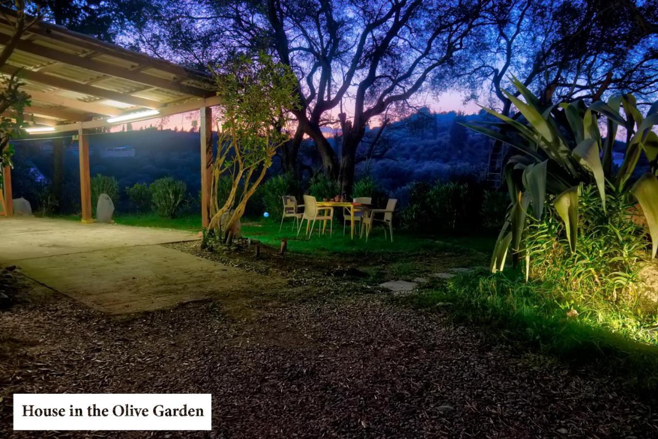 Ágios IoánnisHouse In The Olive Garden公寓 外观 照片