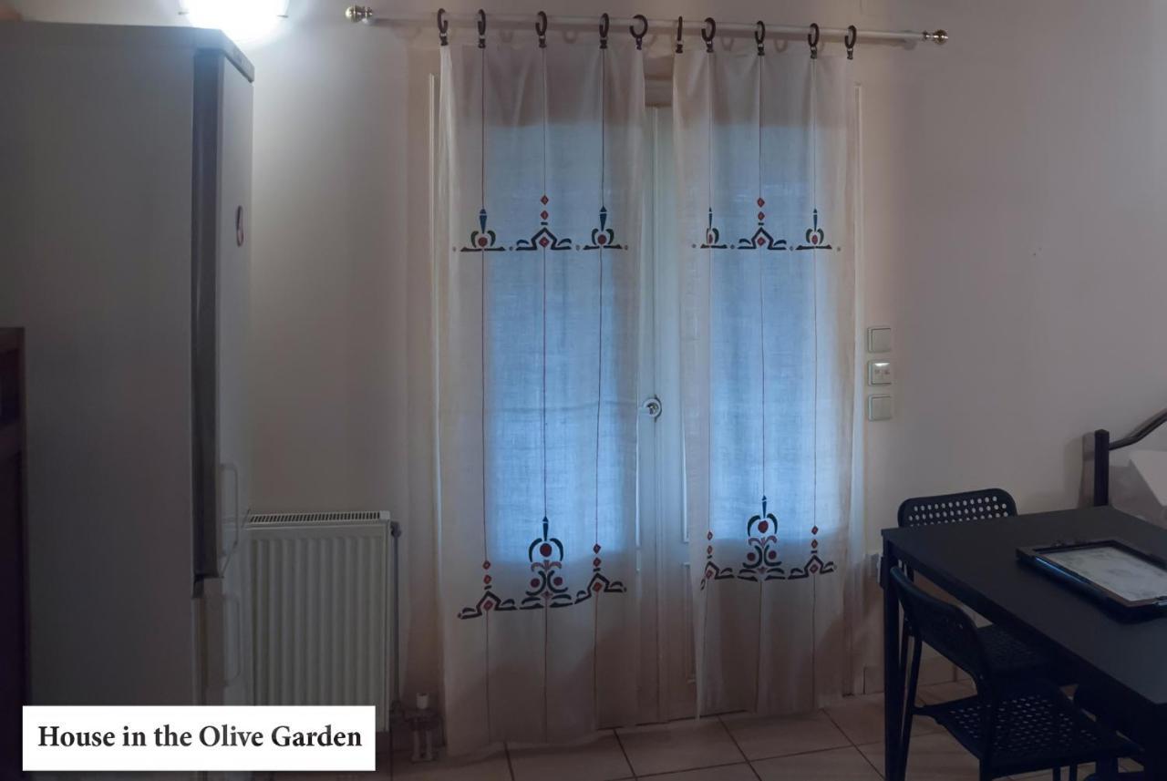 Ágios IoánnisHouse In The Olive Garden公寓 外观 照片