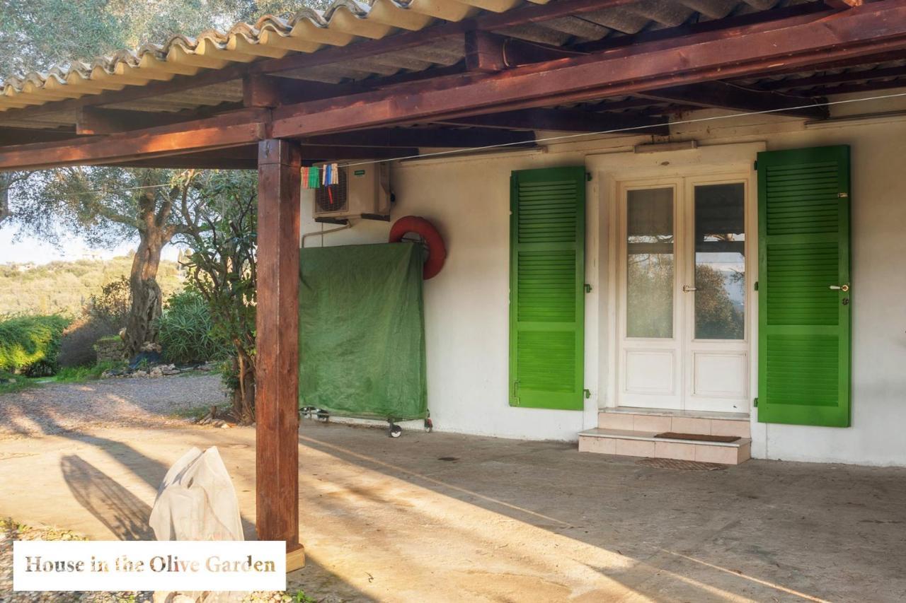 Ágios IoánnisHouse In The Olive Garden公寓 外观 照片