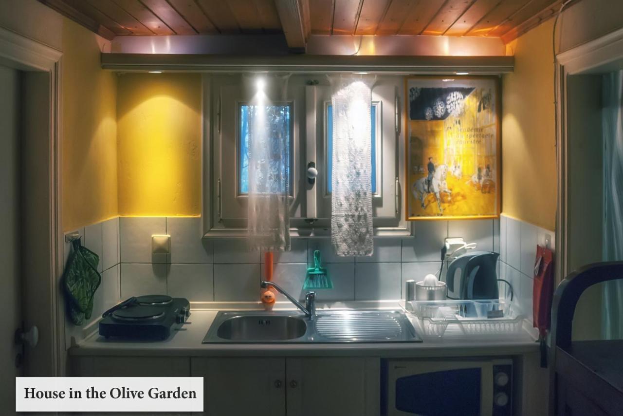 Ágios IoánnisHouse In The Olive Garden公寓 外观 照片