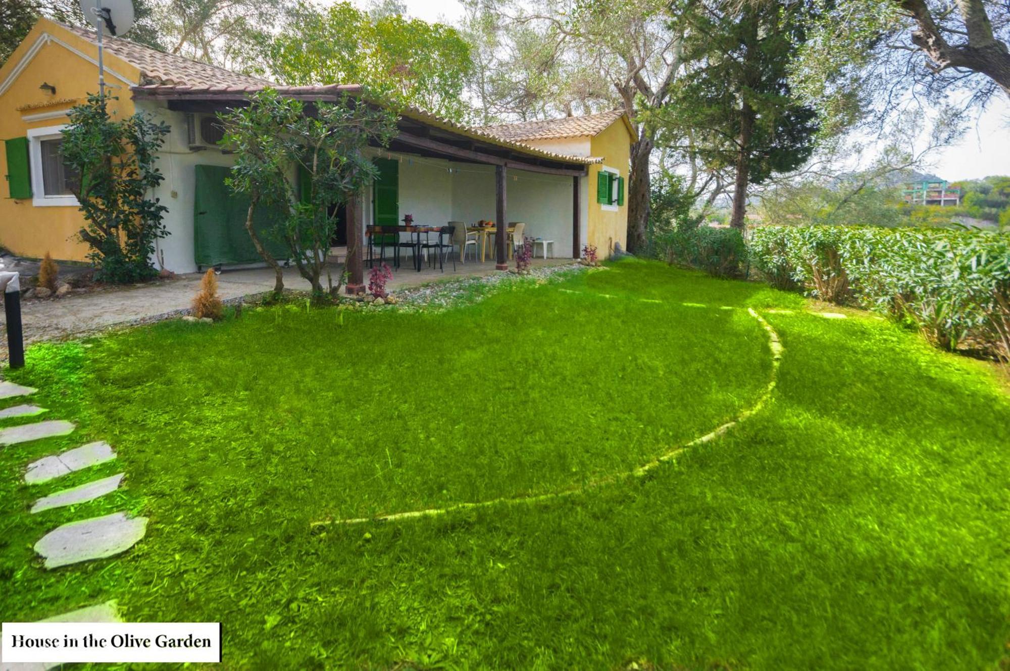 Ágios IoánnisHouse In The Olive Garden公寓 外观 照片