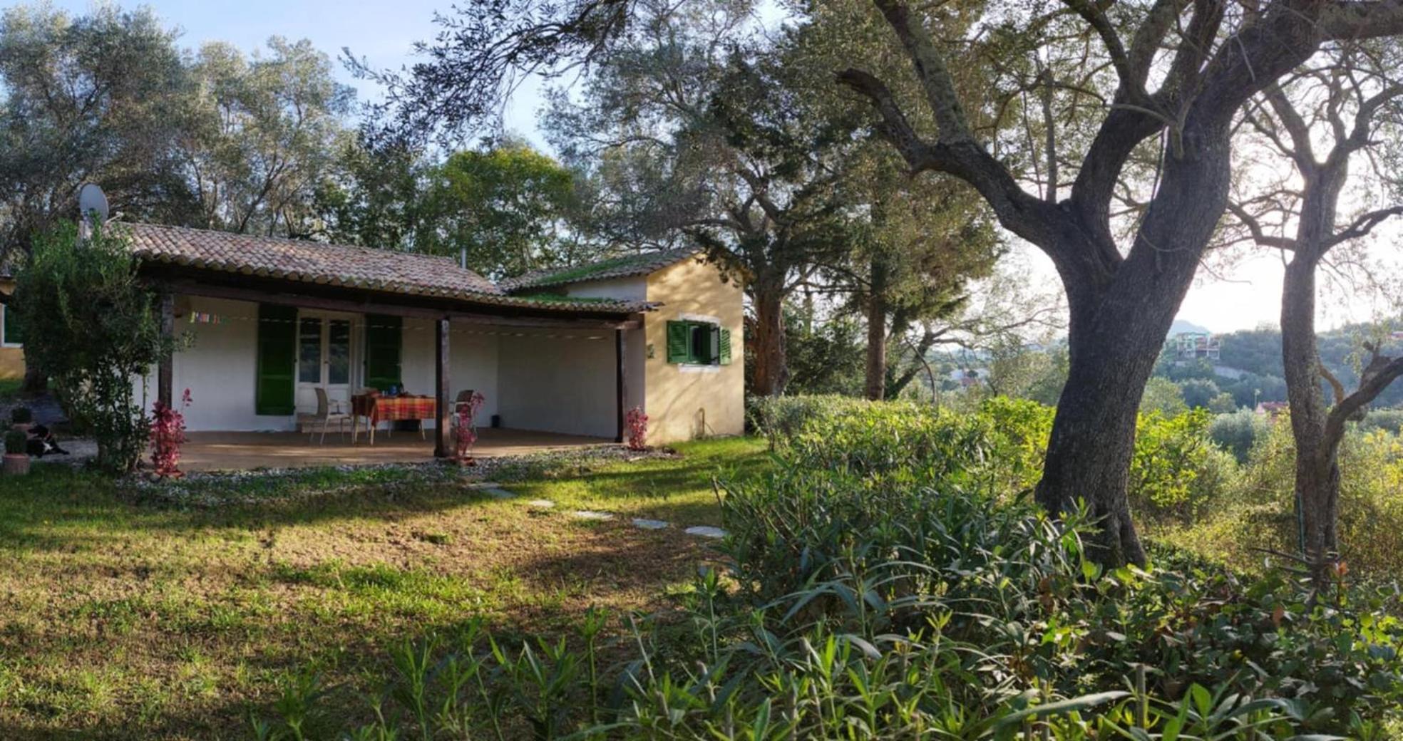 Ágios IoánnisHouse In The Olive Garden公寓 外观 照片