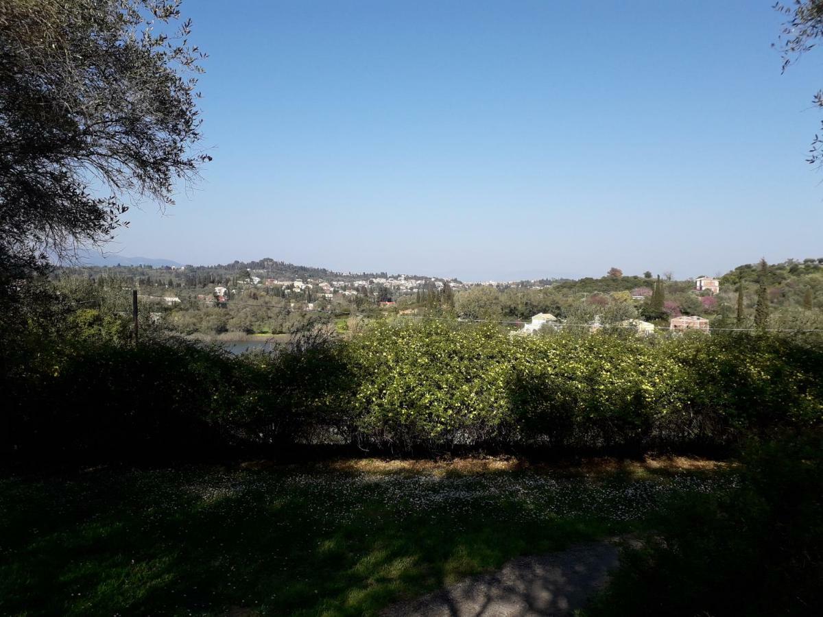 Ágios IoánnisHouse In The Olive Garden公寓 外观 照片