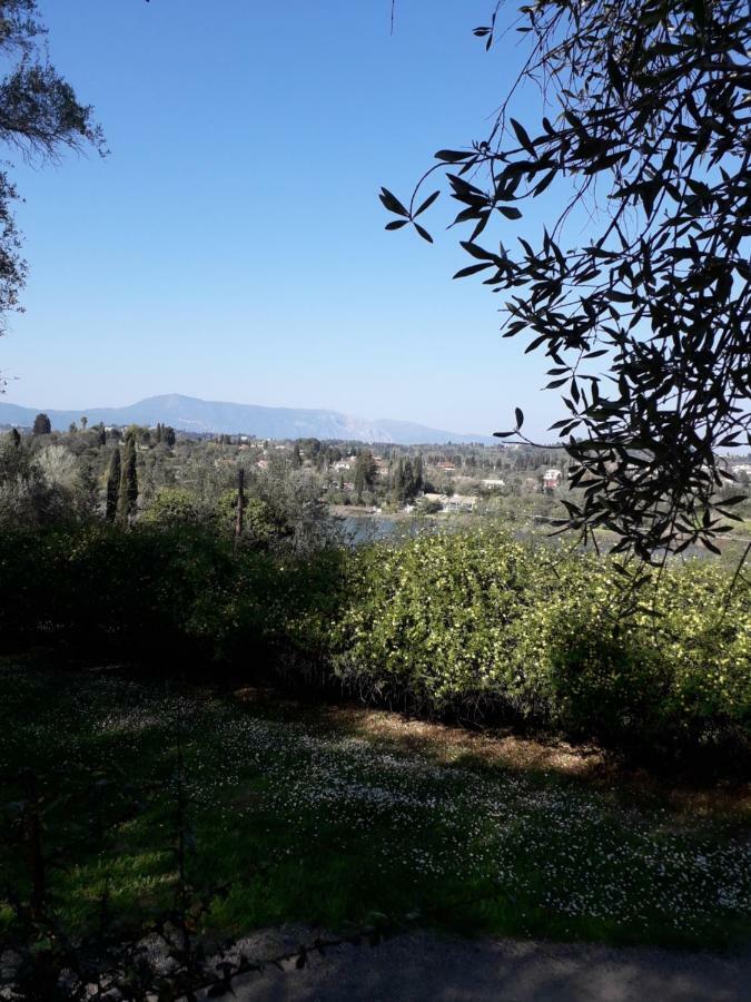Ágios IoánnisHouse In The Olive Garden公寓 外观 照片