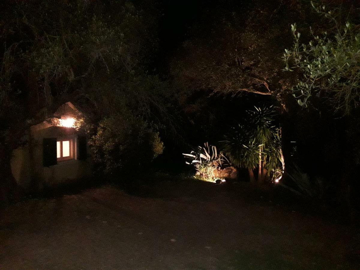 Ágios IoánnisHouse In The Olive Garden公寓 外观 照片