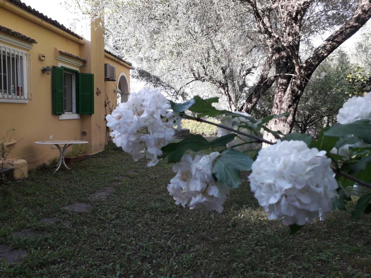 Ágios IoánnisHouse In The Olive Garden公寓 外观 照片