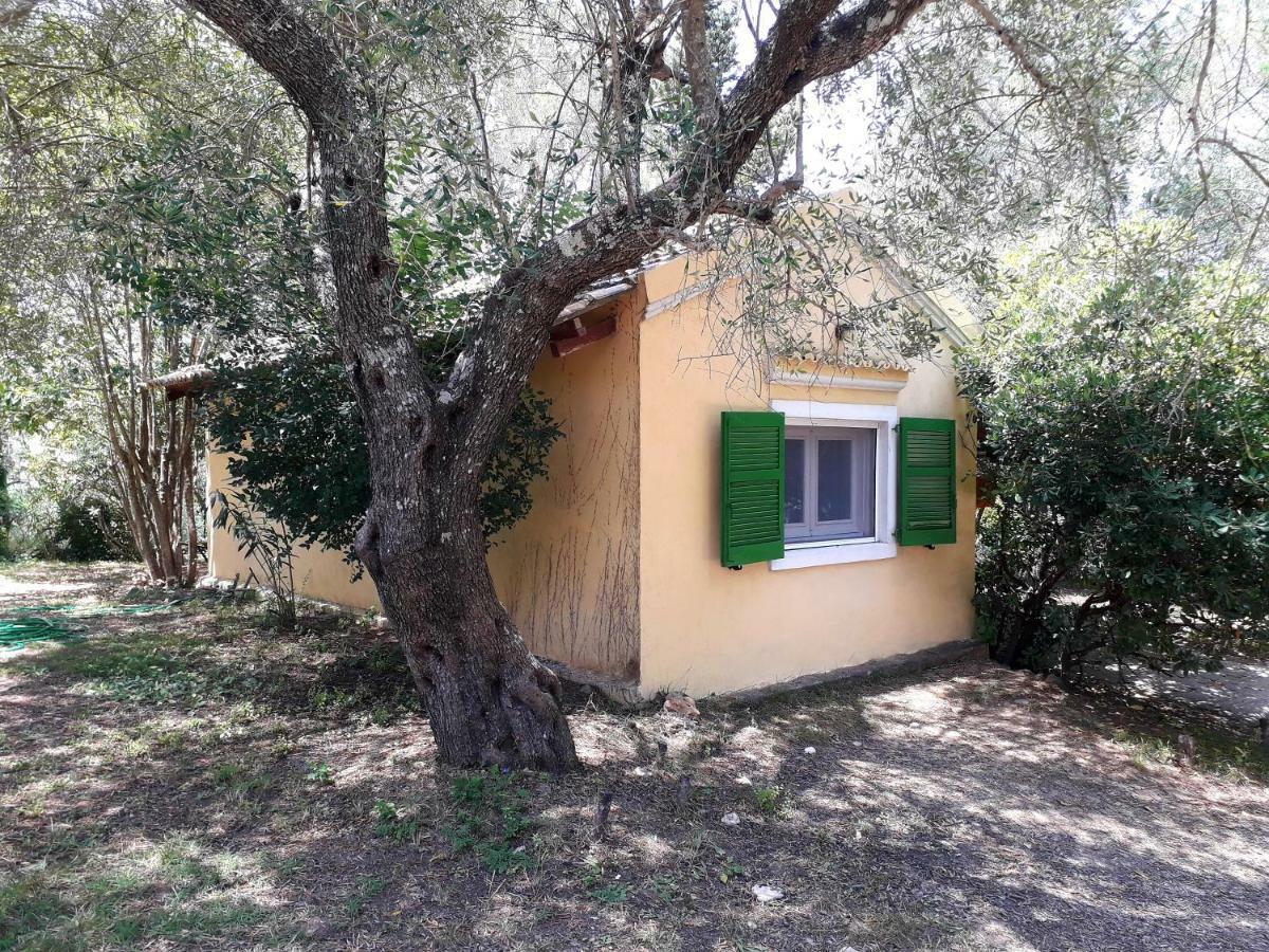 Ágios IoánnisHouse In The Olive Garden公寓 外观 照片