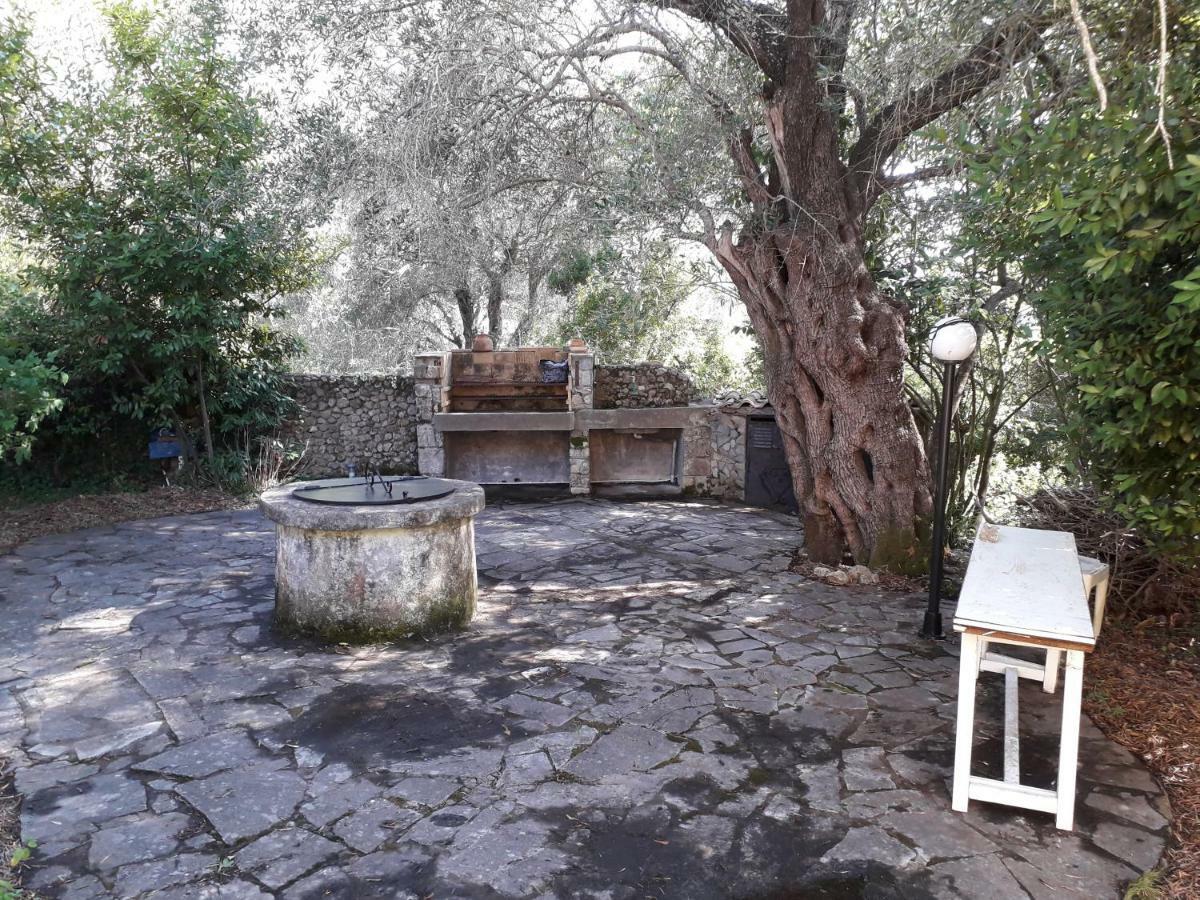 Ágios IoánnisHouse In The Olive Garden公寓 外观 照片