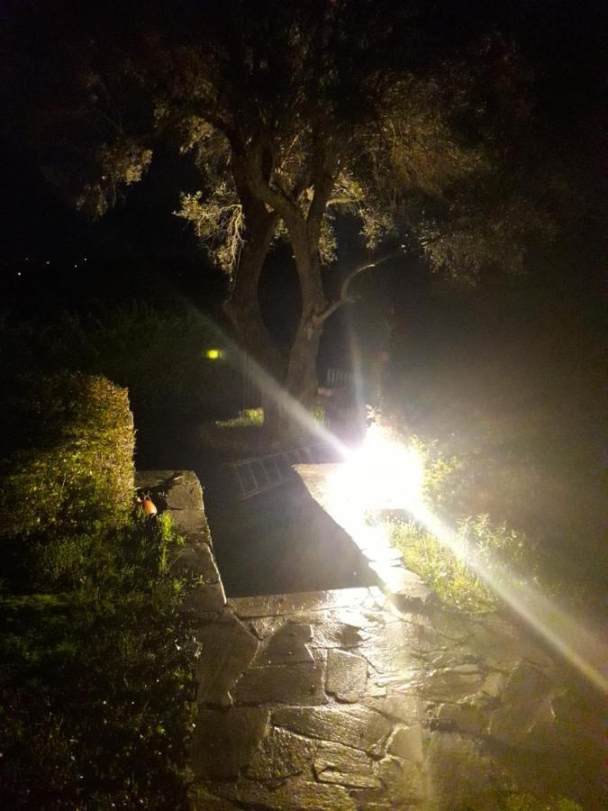 Ágios IoánnisHouse In The Olive Garden公寓 外观 照片