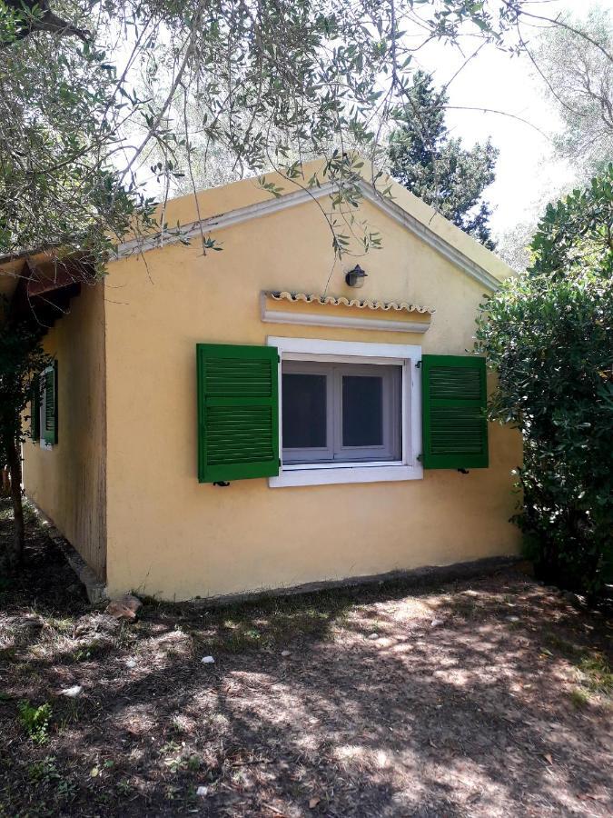 Ágios IoánnisHouse In The Olive Garden公寓 外观 照片